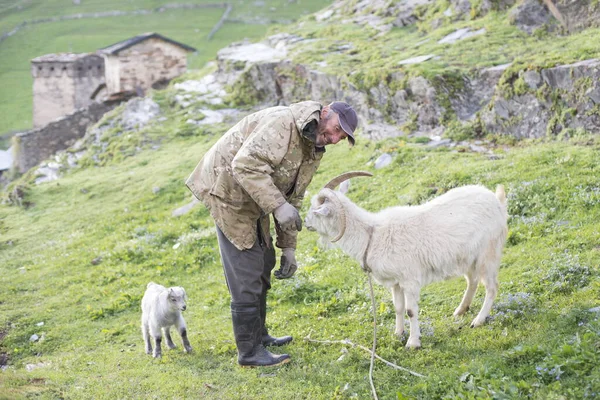 Ushguli Georgie Juin 2018 Agriculteur Géorgien Non Identifié Nourrit Une — Photo