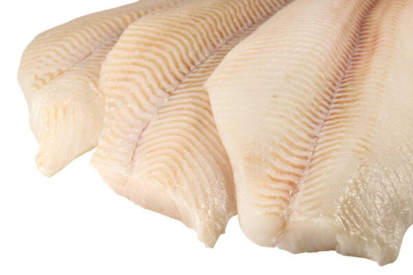 Halibut fish fillet, isolated on white.