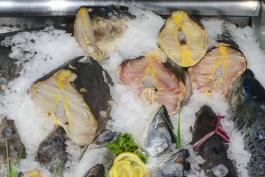 Dondurulmuş mersin balığı ve buzda balık gösterisi..