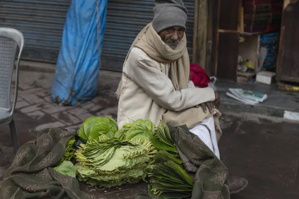 Дели Индия Января 2020 Неизвестный Пожилой Человек Продает Листья Бетеля — стоковое фото