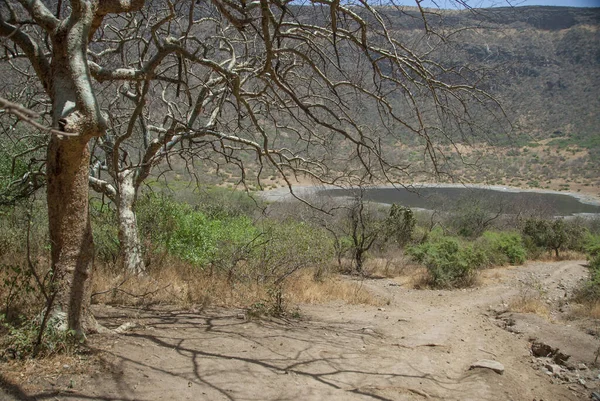 Weg Naar Kratermeer Sod Ethiopië — Stockfoto