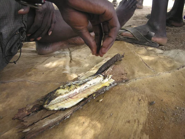 エチオピア バレー オモのアカシア樹皮で伝統的に焼かれる魚 — ストック写真