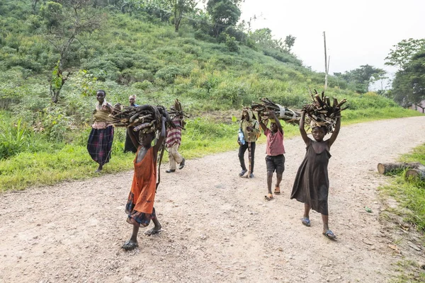 Bugoye Uganda Janeiro 2020 Crianças Não Identificadas Carregam Lenha Cabeça — Fotografia de Stock