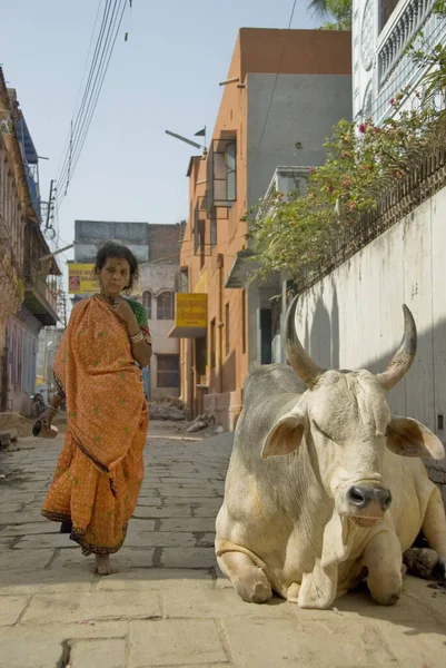Varanasi India Května 2009 Neidentifikovaná Indiánka Míjí Obrovského Vola Ulici — Stock fotografie