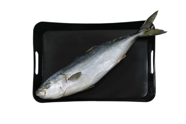放在锅里的冻鱼 用白色隔离 — 图库照片