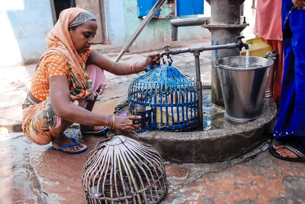 Varanasi India May 2009 Unidentified Indian Woman Washes Bird Cages — Stock Photo, Image