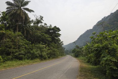 Uganda 'nın Bundibugyo semtinde asfalt yol.