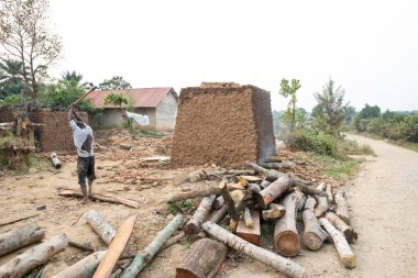 NTANDI, UGANDA, JANUARY 24, 2020: Tanımlanamayan adam tuğla fırını, Ntandi, Uganda için odun hazırlıyor. Afrika 'nın kırsal kesimlerinde odun kullanarak yapılan tuğlaların çoğu orman tahribine yol açıyor..