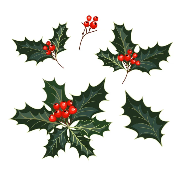 Juldekorationer med holly och röda bär — Stock vektor