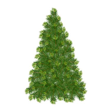 Green Christmas tree vector Green Christmas tree vector