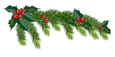 Christmas tree branch vector Christmas tree branch vector