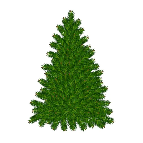 Kerstboom achtergrond — Stockvector