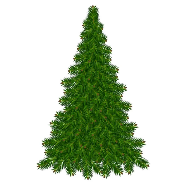 Hintergrund Weihnachtsbaum — Stockvektor