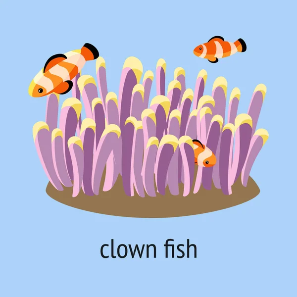 Ілюстрація Клоунною Рибою Плаває Коралі Синьому Фоні — стоковий вектор