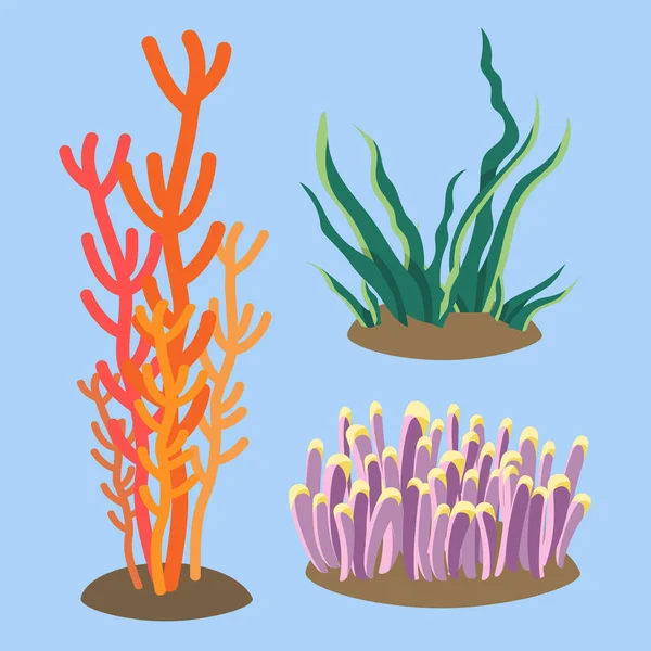 Набор Иллюстраций Морскими Кораллами Водорослями Красочные Подводные Растения — стоковый вектор
