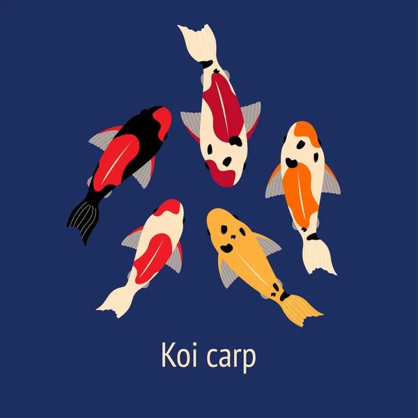 Illustration Five Koi Fish Carps Different Colors Floating Water Multi — 스톡 벡터