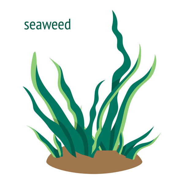 illustration with green seaweed. underwater plants cartoon icon