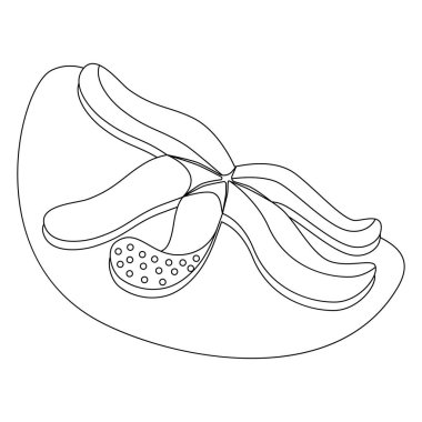 Üzerinde deniz yıldızı olan bir resim. Doğrusal olarak deniz hayvanı çizgi film ikonu. çocuk renklendirmesi