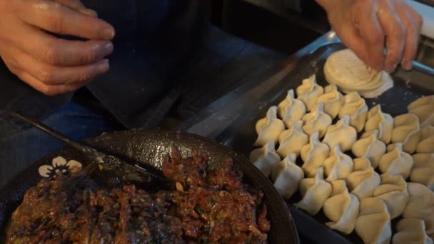スウェーデン ストックホルムアジア料理店で餃子を作る — ストック動画