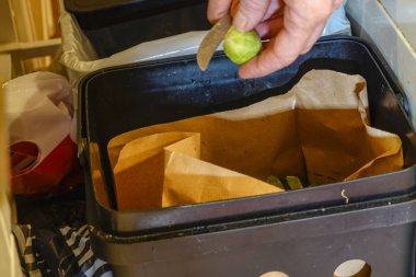 Stockholm, İsveç Mutfakta organik atık kutusu.