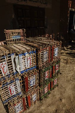 Siwa vahası, Mısır kutuları tavuk beslemek için..