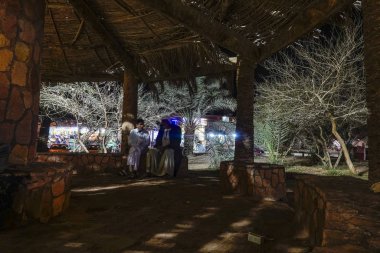 Siwa Oasis, Mısır, Parkta geceleyin palmiye ağacının altında oturan adamlar.