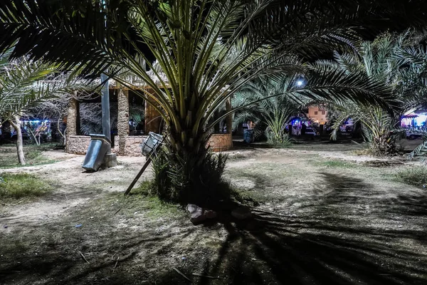 Siwa, Mısır Palmiyeleri ve gecenin bir yarısı küçük bir parkta küçük bir pagoda..