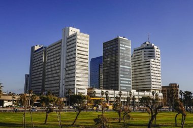 Tel Aviv, İsrail Tel Aviv şehir merkezinde yeşil bir park