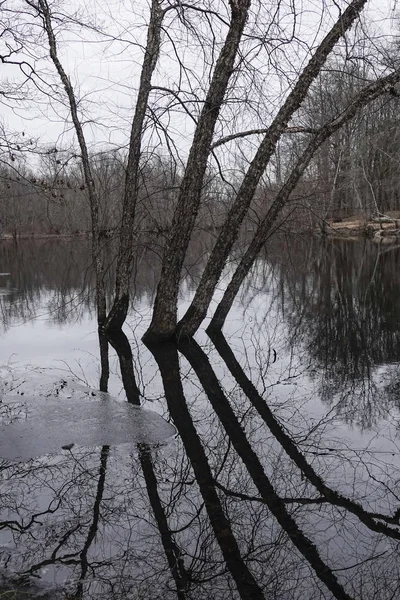 Boston Massachusetts Paisaje Invernal Río Suburbio Concord —  Fotos de Stock
