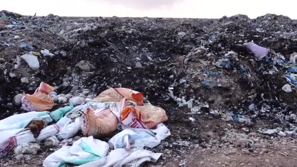 Marsa Matruh 埃及A穿过市区垃圾堆 — 图库视频影像