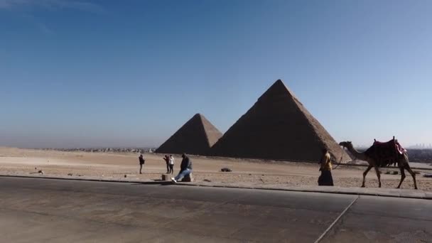 Каир Египет Янв 2020 Пирамиды Гизы — стоковое видео