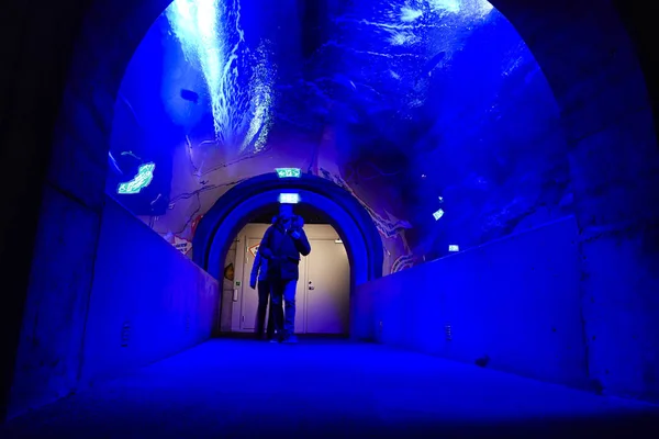 Estocolmo Suecia Interior Del Centro Científico Del Mar Báltico Túnel —  Fotos de Stock