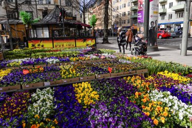 Stockholm, İsveç 31 Mart 2020 'de diğer tüm ülkelerdeki tecrit durumlarına rağmen İsveç başkentindeki insanlar hâlâ normal işlerine devam ediyor ama sokaklar belirgin bir şekilde normalden daha boş. Mariatorget 'deki yayalar.