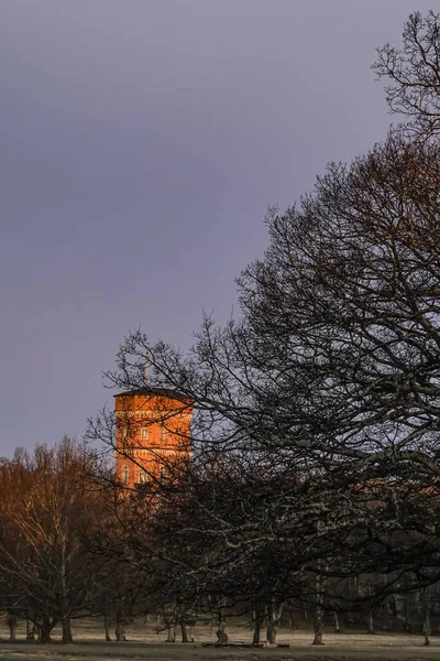 Stockholm Zweden April 2020 Het Terrein Van Het Koninklijk Paleis — Stockfoto