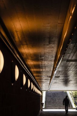 Stockholm, İsveç banliyöleri 1952 'de inşa edilen ve sanatçı Lars Arrhenius tarafından dekore edilen yeşil hattaki Thorildsplan tünelbana metro istasyonunda.