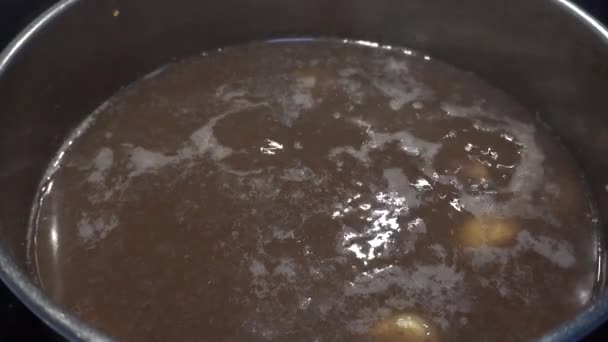 Bonen Gekookt Bouillon — Stockvideo