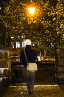 Norrkoping, İsveç Geceleri Stromparken 'e açılan bir kapı
