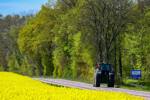 Farjestaden Oland Sweden Agricultural Tractor Driving Back Road Next Field — Stock Photo, Image