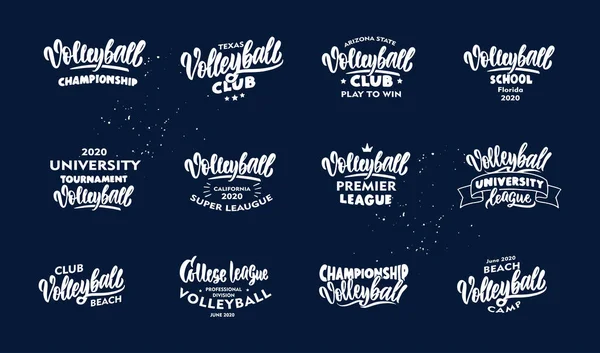 Conjunto de frases de Voleibol vintage. emblema blanco, insignias, plantillas — Vector de stock