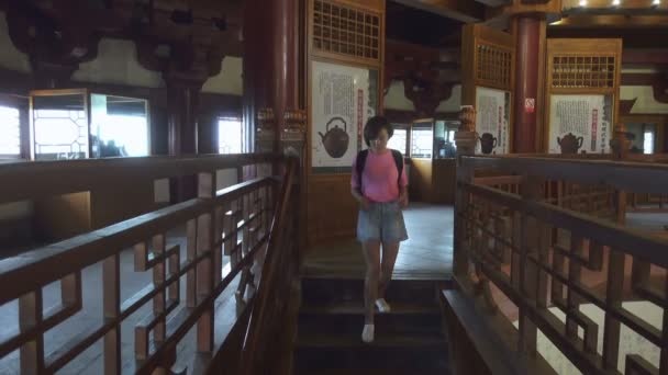 XIAN, CHINA - 06 DE JUL DE 2019: El viajero visitó una antigua pagoda, China . — Vídeo de stock