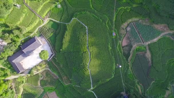 Letecký pohled na čajové plantáže a vesnice, Hubei, Čína. — Stock video