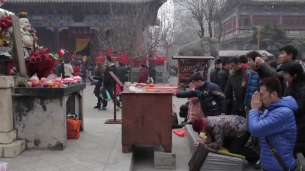 西安、中国- 2014年2月14日:中国のプジ寺で富と健康のために祈って混雑した観光客。. — ストック動画
