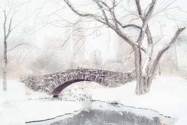 Central Park kar Gapstow köprü kışın arka planda peaking Nyc cityscape kaplı