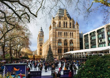 Londra 'daki Doğa Tarihi Müzesi' nde buz pateni pisti ve Noel ağacı. İnsanlar Noel 'de şehrin en ünlü müzelerinden birinin önünde buz pateni yaparken eğleniyorlar..
