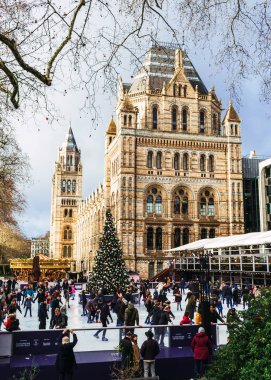 Londra, Uk / Avrupa; 21 / 12 / 2019: Londra 'daki Doğal Tarih Müzesi' nde buz pateni pisti ve Noel ağacı. İnsanlar Noel 'de şehrin en ünlü müzelerinden birinin önünde buz pateni yaparken eğleniyorlar..