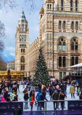 Londra, Uk / Avrupa; 21 / 12 / 2019: Londra 'daki Doğal Tarih Müzesi' nde buz pateni pisti ve Noel ağacı. İnsanlar Noel 'de şehrin en ünlü müzelerinden birinin önünde buz pateni yaparken eğleniyorlar..