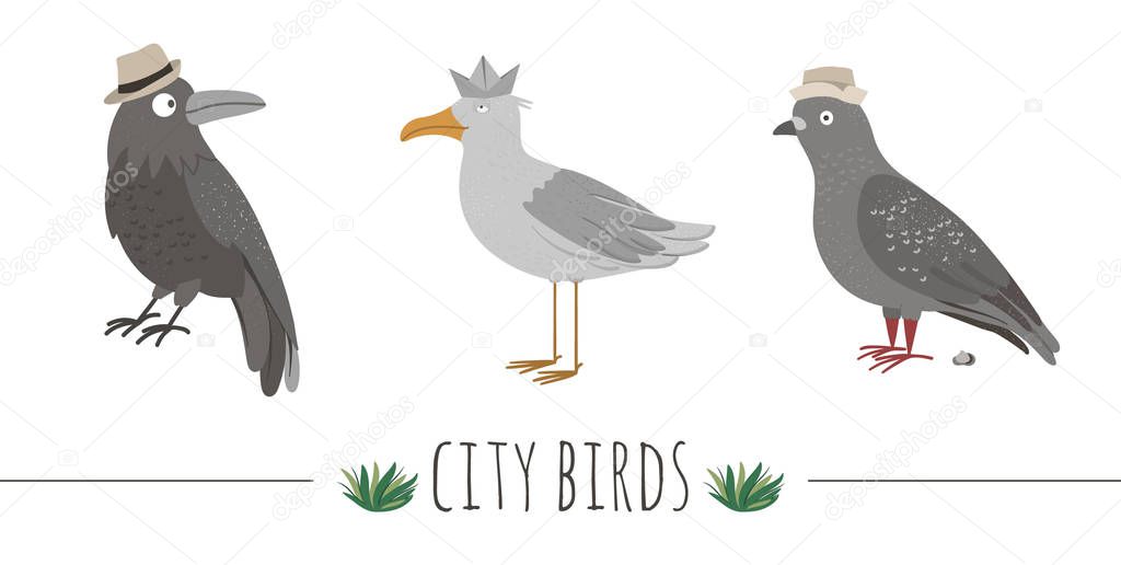 Vector illustration of funny seagull, raven, pigeon with poo. Se