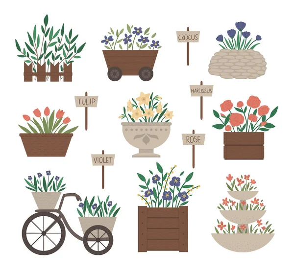 Vektorové znázornění různých záhonů květin. Zahradní dekorativní — Stockový vektor