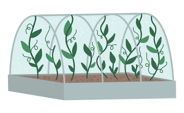 Vectorkas met groene klimplanten. Plat warm huis ziek — Stockvector