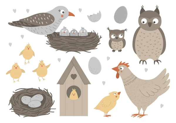 Vektorová sada ručně kreslených plochých ptáčků s rodiči, hnízda, např. — Stockový vektor